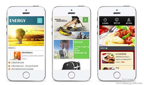 大連app開發(fā)公司 想靠app賺錢,你要做好這四件事
