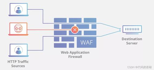 搞安全開發都是用什么編程語言
